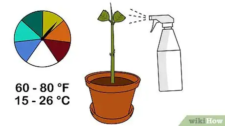 Imagen titulada Grow Hydrangea from Cuttings Step 11