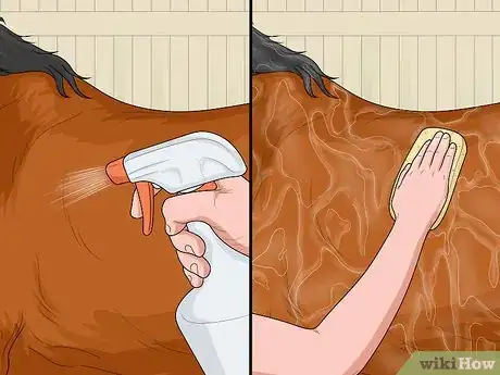 Imagen titulada Treat Horse Lice Step 11