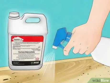 Imagen titulada Get Rid of Termites Step 11