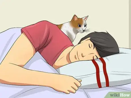 Imagen titulada Encourage Your Cat to Go to Sleep Step 10