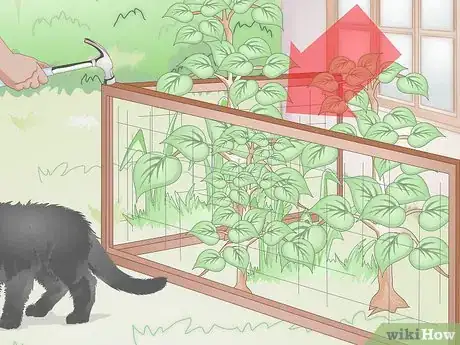 Imagen titulada Stop Pets from Urinating in Your Plants Step 1