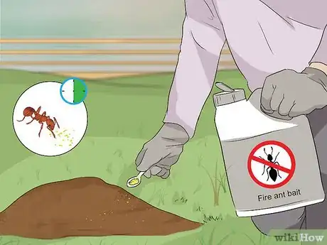 Imagen titulada Get Rid of Fire Ants Step 1