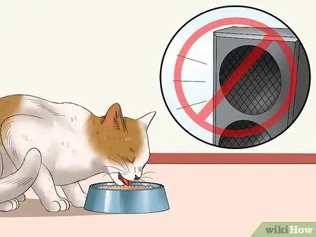 Imagen titulada Ensure That Your Cat Finishes Its Food Step 3