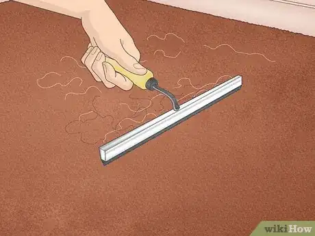 Imagen titulada Remove Hair from a Carpet Without Vacuuming Step 5