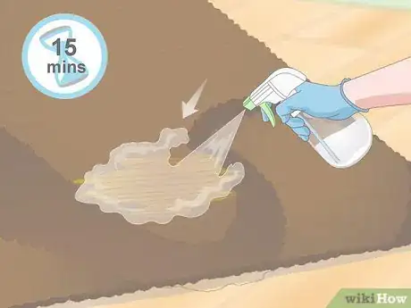 Imagen titulada Get Dog Urine Smell out of Carpets Step 2