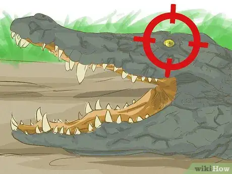 Imagen titulada Survive an Encounter with a Crocodile or Alligator Step 16