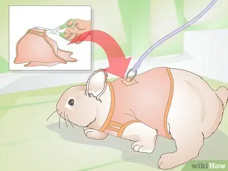 Imagen titulada Make Your Rabbit a Leash Step 12