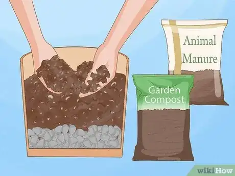 Imagen titulada Grow Roses in Containers Step 7