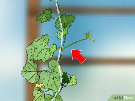 Imagen titulada Prune Cucumber Plants Step 4