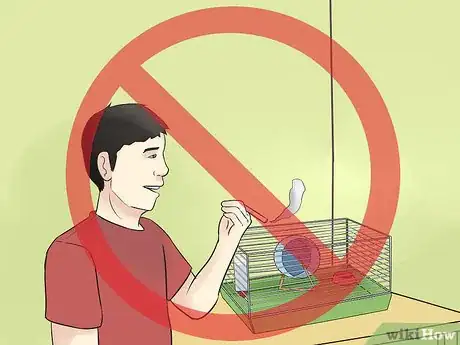 Imagen titulada Prevent Poisoning in Hamsters Step 5