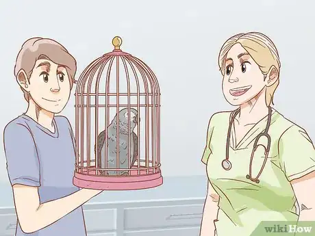 Imagen titulada Treat Respiratory Infections in African Grey Parrots Step 9