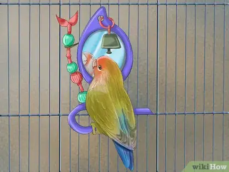 Imagen titulada Care for a Conure Step 7