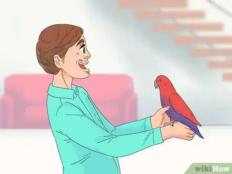 Imagen titulada Know if an Eclectus Is Right for You Step 9