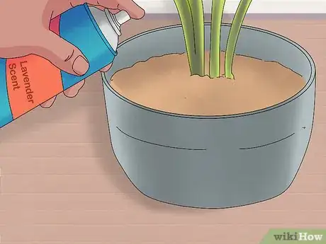 Imagen titulada Prevent Cats from Digging Up Houseplants Step 11