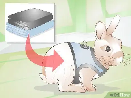 Imagen titulada Make Your Rabbit a Leash Step 14