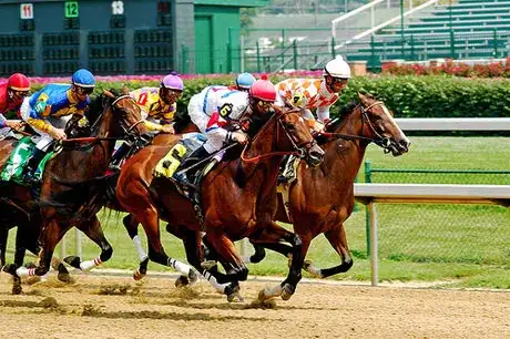 Imagen titulada Churchill Downs