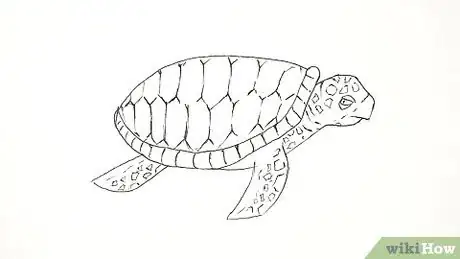 Imagen titulada Draw a Turtle Step 18