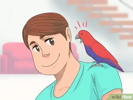 Imagen titulada Know if an Eclectus Is Right for You Step 7