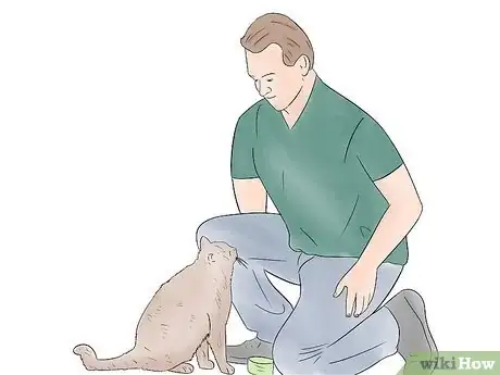 Imagen titulada Train Your Cat to Sit Step 3