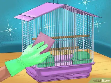 Imagen titulada Care for a Conure Step 4