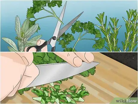 Imagen titulada Build a Mason Jar Herb Garden Step 11