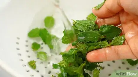 Imagen titulada Make Peppermint Oil Step 2