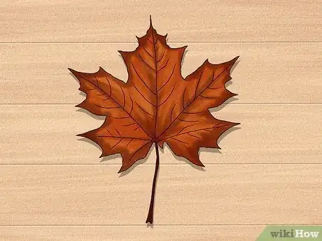 Imagen titulada Dry Leaves Step 13