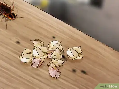 Imagen titulada Kill Cockroaches or Ants Without Pesticide Step 15