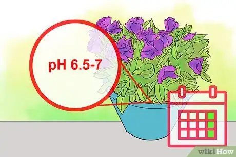 Imagen titulada Grow Lisianthus Step 14