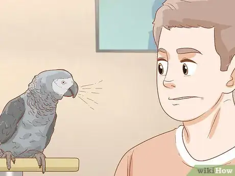 Imagen titulada Treat Respiratory Infections in African Grey Parrots Step 8