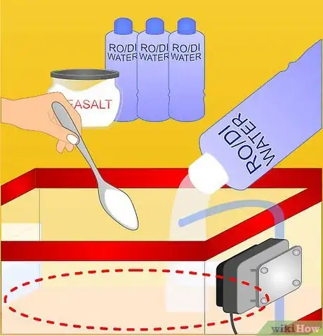 Imagen titulada Prepare enough artificial seawater for the volume needed and add sand Step 11