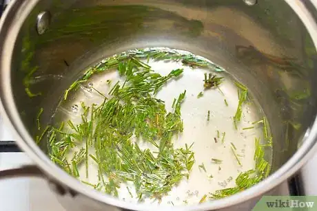 Imagen titulada Make Pine Needle Tea Step 6Bullet1