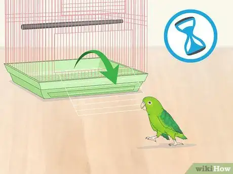 Imagen titulada Interact with Your Parrotlet Step 3