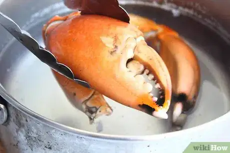 Imagen titulada Cook Stone Crab Claws Step 5