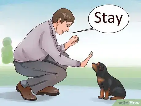 Imagen titulada Train Your Rottweiler Puppy With Simple Commands Step 12