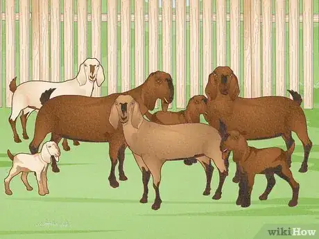 Imagen titulada Raise Goats Step 7