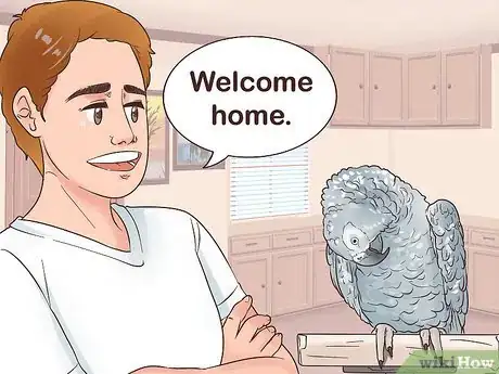 Imagen titulada Encourage an African Grey Parrot to Speak Step 18