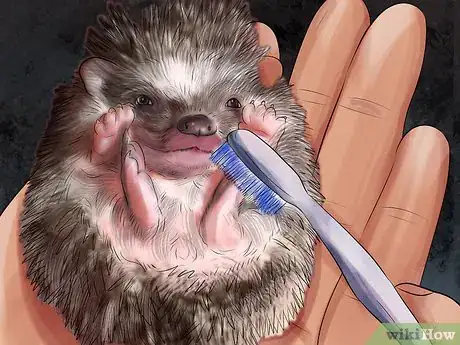 Imagen titulada Bathe a Hedgehog Step 11