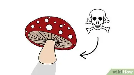 Imagen titulada Pick Mushrooms Step 24