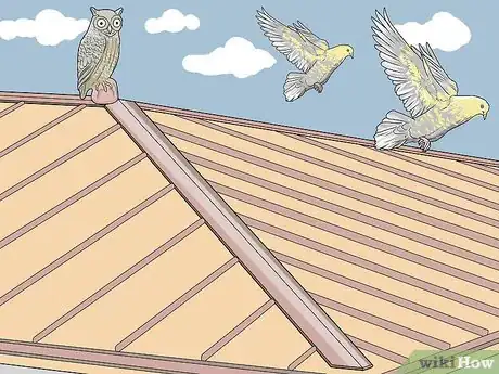 Imagen titulada Keep Birds Off the Roof Step 1