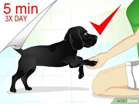 Imagen titulada Raise a Dog Step 17