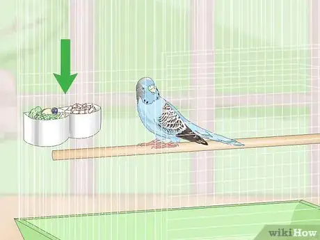 Imagen titulada See if Your Pet Budgie Is Sick Step 3