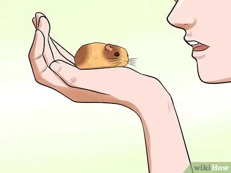 Imagen titulada Handle a Hamster Without Being Bitten Step 7