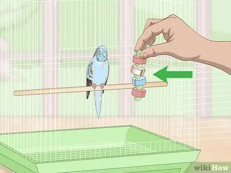 Imagen titulada See if Your Pet Budgie Is Sick Step 1