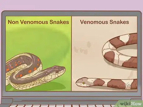 Imagen titulada Find a Snake Step 1