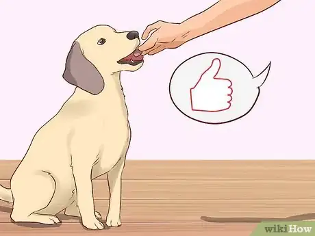 Imagen titulada Discourage a Dog From Biting Step 11