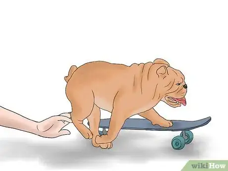 Imagen titulada Teach a Bulldog to Skateboard Step 7