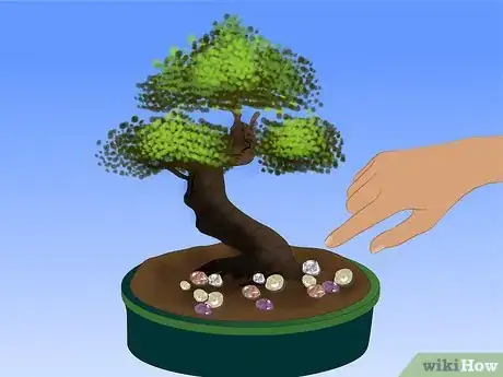 Imagen titulada Care for a Chinese Elm Bonsai Tree Step 13