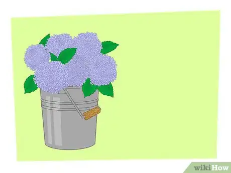 Imagen titulada Dry Hydrangeas Step 1