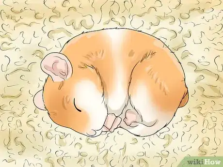 Imagen titulada Spot Illness in Hamsters Step 5